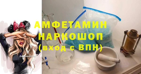 индика Богородицк