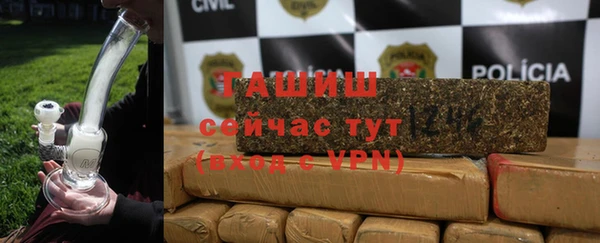 индика Богородицк
