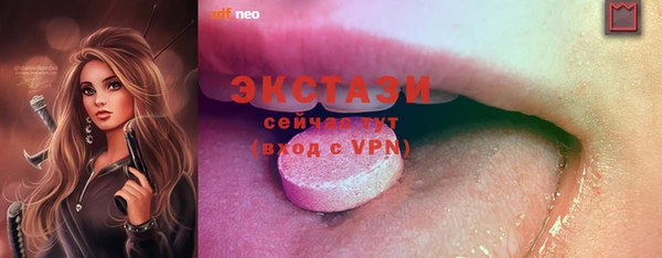 мдпв Богородск