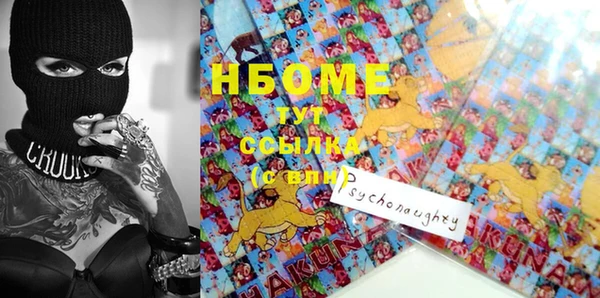 мдпв Богородск