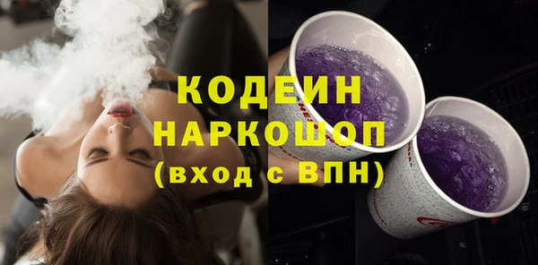 индика Богородицк