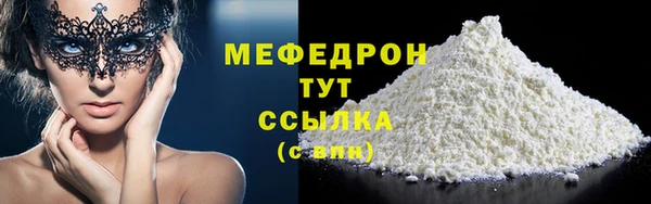 индика Богородицк