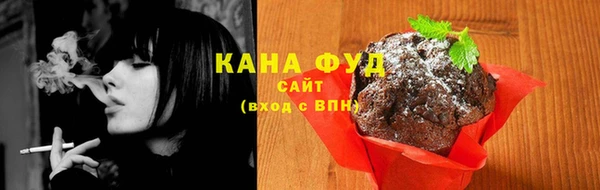 индика Богородицк