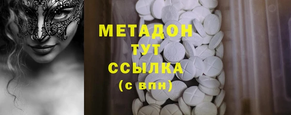 индика Богородицк