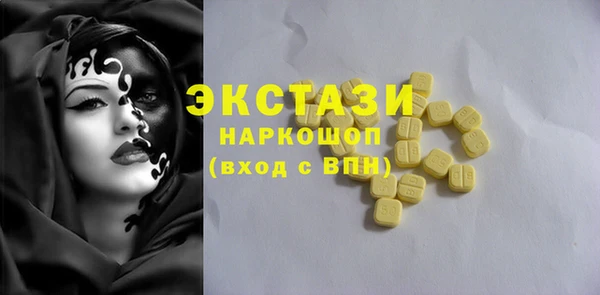 индика Богородицк