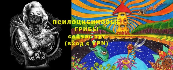 таблы Богданович