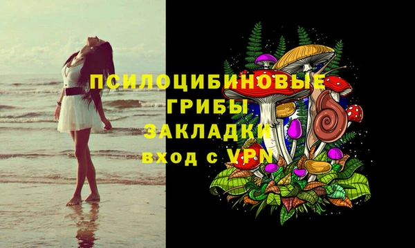 мдпв Богородск
