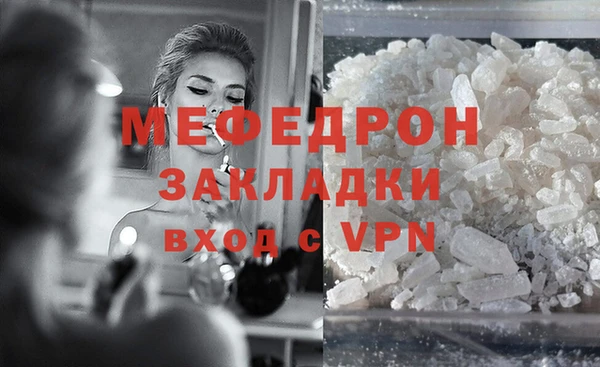 индика Богородицк