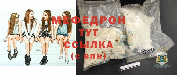 мдпв Богородск