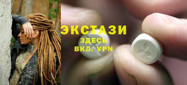 индика Богородицк