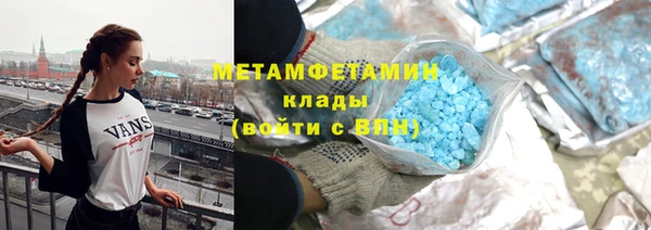 индика Богородицк