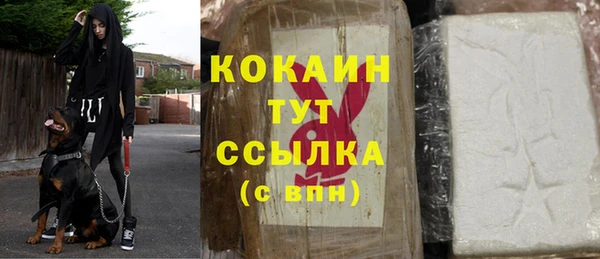 индика Богородицк