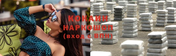 индика Богородицк